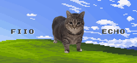 OIIA cat x Windows XP (boot animation | full theme in development)